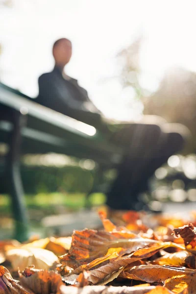 Silhuette Joven Banco Durante Día Soleado Otoño Hojas Primer Plano — Foto de Stock