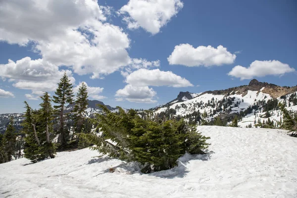 Wunderschöne Landschaft Mit Schneebedeckten Bäumen Den Bergen — Stockfoto