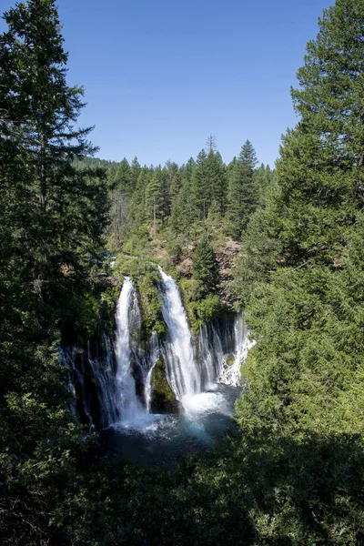 Cascada Bosque —  Fotos de Stock