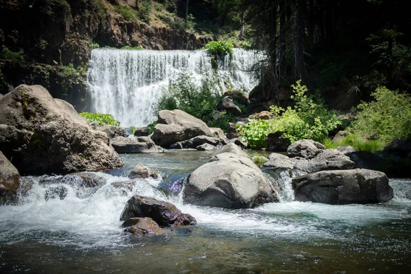 Cascada Bosque —  Fotos de Stock