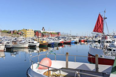 Güneşli bir günde bulutsuz gökyüzünün altında sakin su ve demirli balıkçı tekneleri olan körfez.