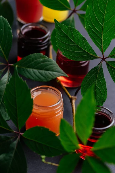 Beerentinkturen Kurzen Hosen — Stockfoto