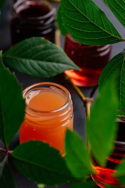 Beerentinkturen Kurzen Hosen — Stockfoto