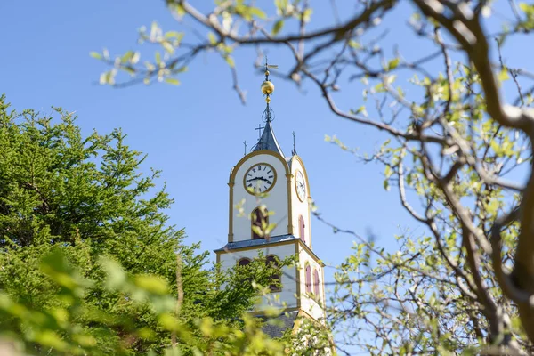 Angolo Basso Torre Con Orologio Situato Nel Parco Sullo Sfondo — Foto Stock