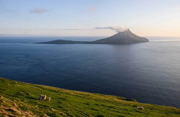 Deniz Kenarında Dağlarla Otlayan Koyun Sürüsüyle Çimenli Sahil Manzarası — Stok fotoğraf