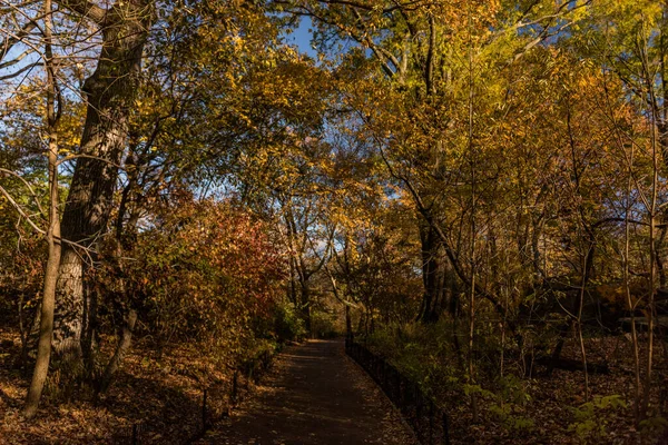 Central Park Vista Autunno — Foto Stock