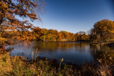 Central Park Panorama ile Bow Köprüsü Sonbaharda, New York