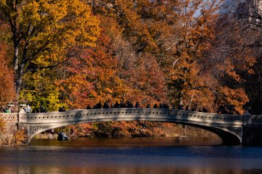 Central Park Gölü 'ndeki Bow Köprüsü Sonbahar günü, New York