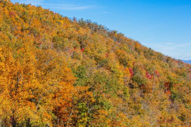 Shenandoah Milli Parkı