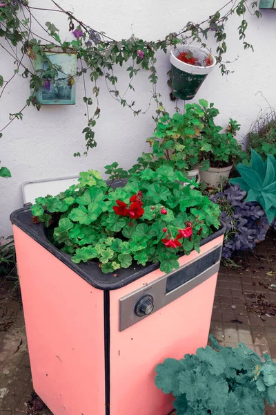 Old recycled washing machine converted into a original flowerpot.