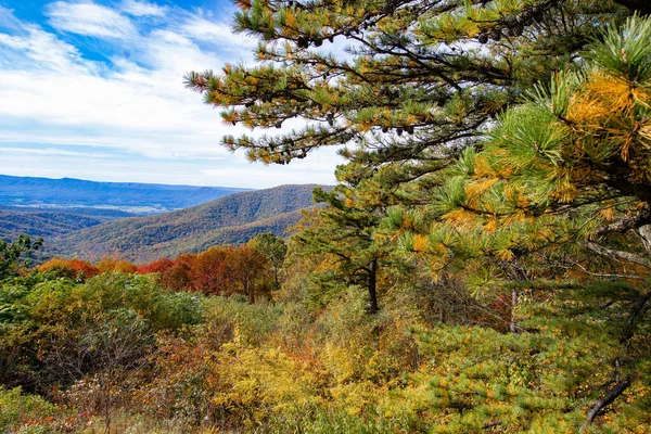 Shenandoah National Park View — Stock Photo, Image