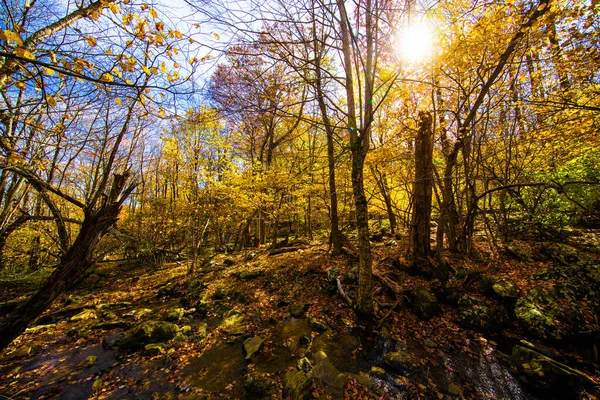 Vista Para Parque Nacional Shenandoah — Fotografia de Stock