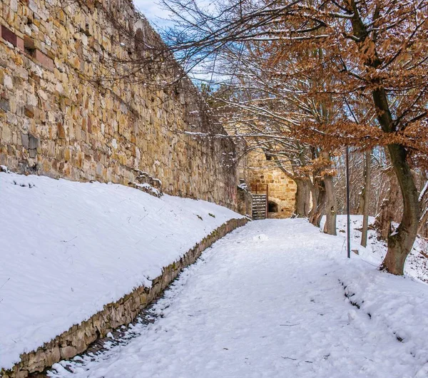 Terebovlia Ukrajina 2020 Zřícenina Starého Hradu Terebovlia Oblasti Ternopil Ukrajině — Stock fotografie