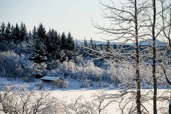 冬の晴れた日に雪に覆われた森の中の小さな木造キャビンの絵のような景色 — ストック写真