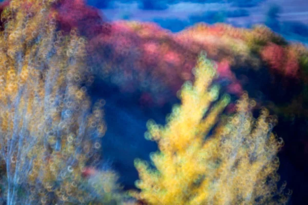 Colorazione Autunnale Dei Cornicabri Pistacia Terebinthus Alcocer Guadalajara Spagna — Foto Stock