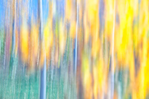 Spanje Cuenca Rieten Teelt Canamares Herfst — Stockfoto