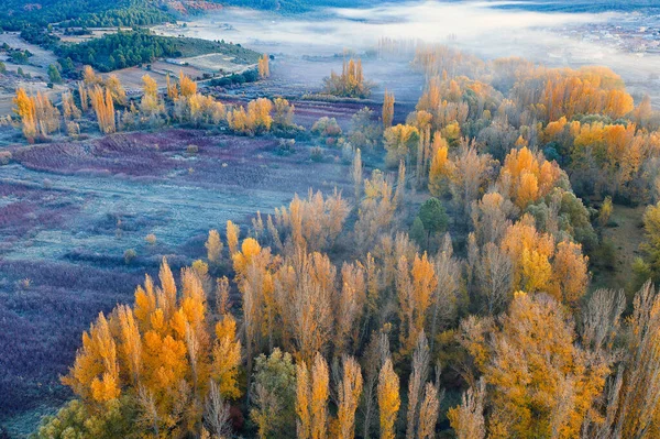 Spanje Cuenca Rieten Teelt Canamares Herfst — Stockfoto