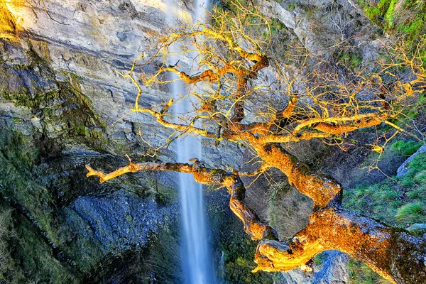 Cascade Gujuli Goiuri Est Saut Vertical 100 Haut Situé Dans — Photo