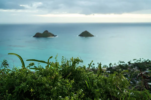緑の芝生と青い空の美しい熱帯のビーチ — ストック写真