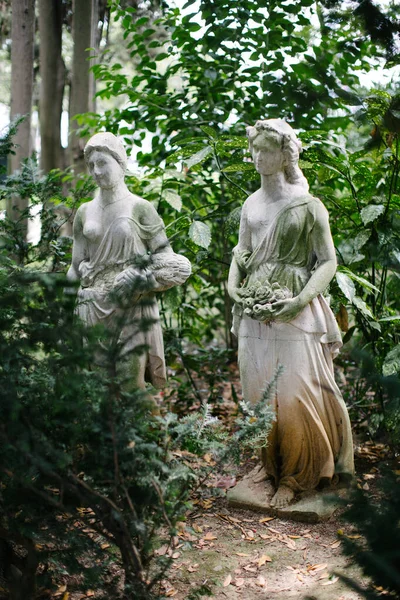 Staty Vacker Ängel Parken — Stockfoto