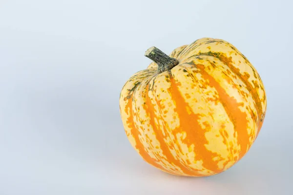 Yellow Colored Pumpkins White Background — Stock Photo, Image