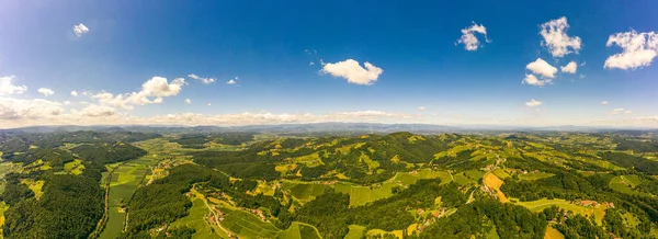 Letecké Panorama Zelených Kopců Vinic Horami Pozadí Rakousko Vinice Krajina — Stock fotografie