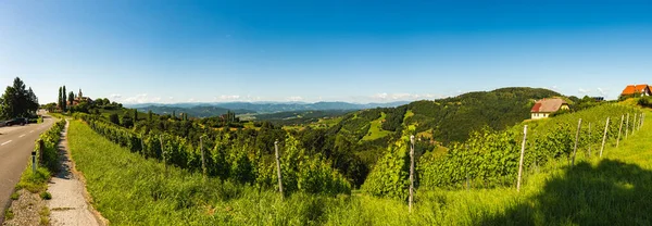 Vinhedo Zona Rural Austríaca Com Uma Igreja Fundo Kitzeck Sausal — Fotografia de Stock