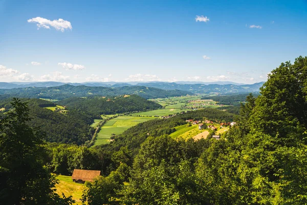 Vigneto Sulla Campagna Austriaca Paesaggio Natura Stilistica Kitzeck Sausal — Foto Stock