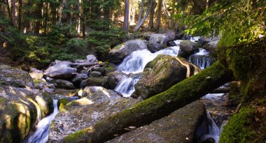 Dağlardaki güzel dağ nehri
