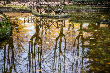 reflections on the pond of the promenade in terni clipart