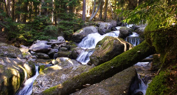 Dağlardaki güzel dağ nehri