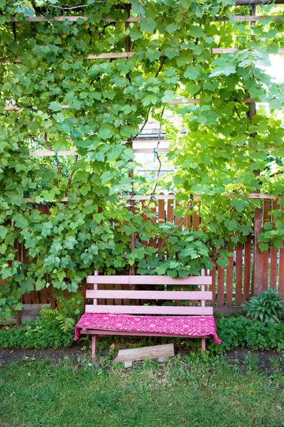 Bench Garden — Stock Photo, Image