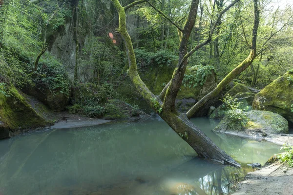 Río Fosso Castello Soriano Nel Cimino Viterbo Bosque —  Fotos de Stock