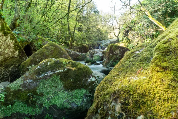 Rivière Fosso Castello Soriano Nel Cimino Viterbo Dans Bois — Photo