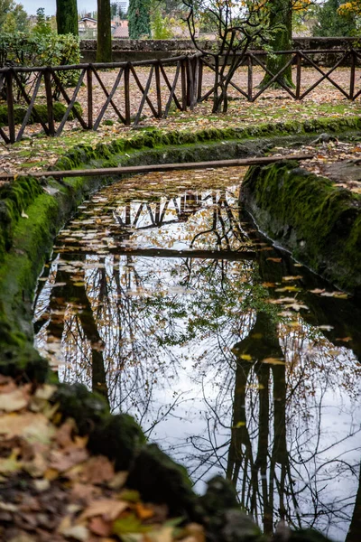 Reflexiones Sobre Estanque Del Paseo Marítimo Terni — Foto de Stock