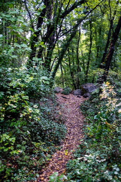 Air Terjun Ponte Del Toro Marmore Valnerina Umbria — Stok Foto