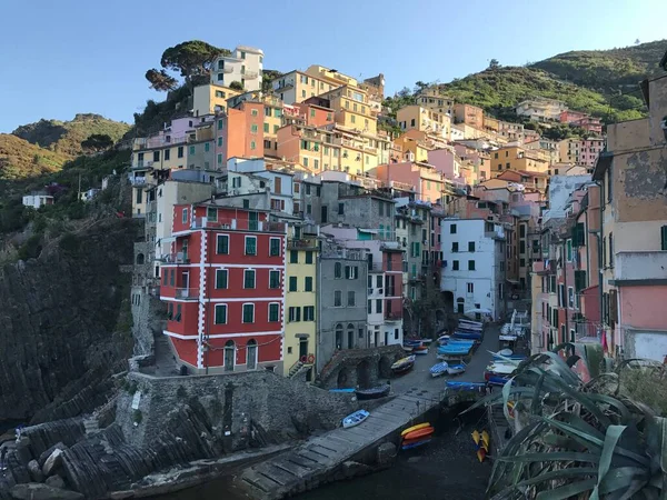 Manarola Cinque Terre Feld — стоковое фото