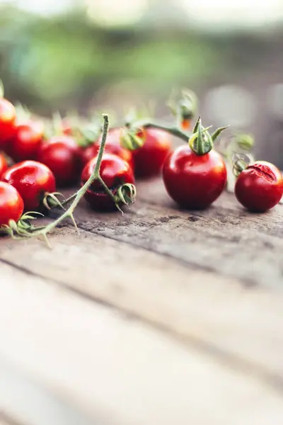 Tomates Cereja Vermelho Fundo Madeira — Fotografia de Stock