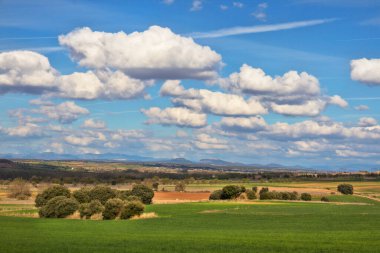 Baharda bulutlu yeşil alan