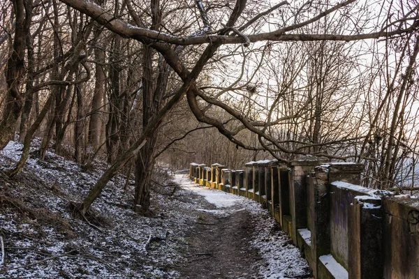 Kamianets Podilskyi Ukraine 2020 Arboretum Kamianets Podilskyi Tôt Matin Hiver — Photo