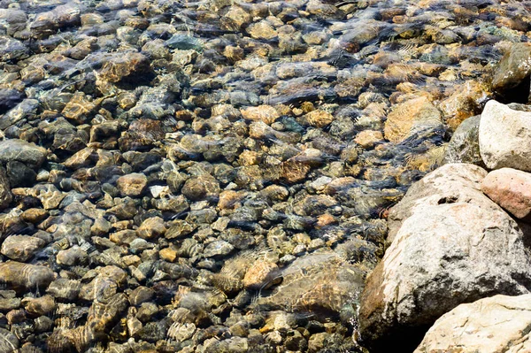 Suda güzel taşlar var.