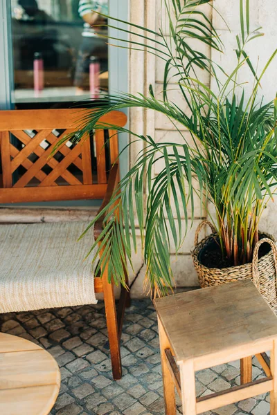 Пальма Сидіння Біля Входу Відкрите Кафе Лісабоні — стокове фото