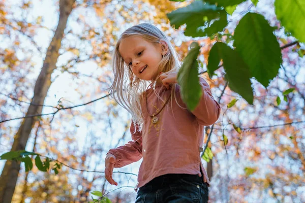 Menina Bonita Floresta Dia Ensolarado — Fotografia de Stock