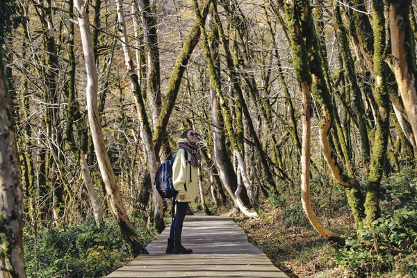 Woman Walking Autumn Park — Stock Photo, Image