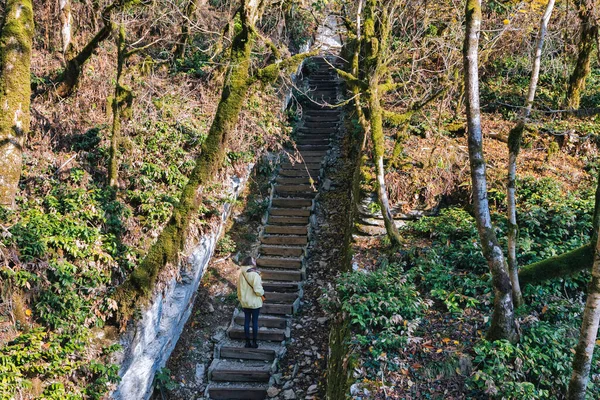 Séta Őszi Parkban — Stock Fotó