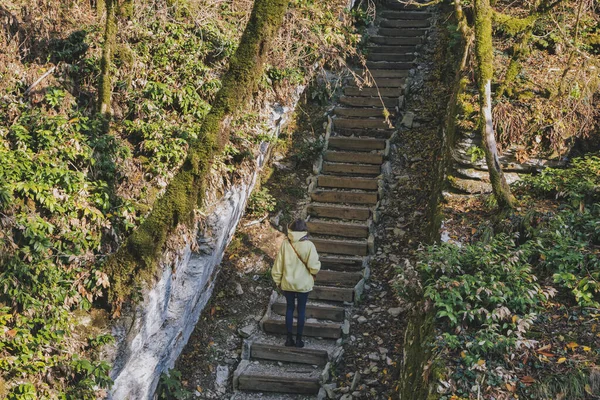 Vrouw Wandelen Herfst Park — Stockfoto