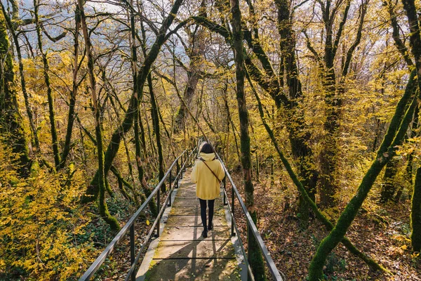 Vrouw Wandelen Herfst Park — Stockfoto