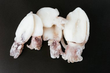 Siyah bir arkaplanda donmuş küçük mürekkep balığı