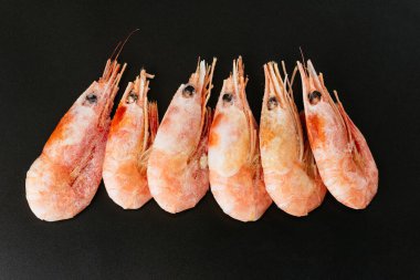 Kral karidesleri siyah arka planda donmuş.