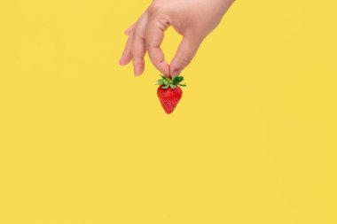 human hand holding strawberry on pastel background